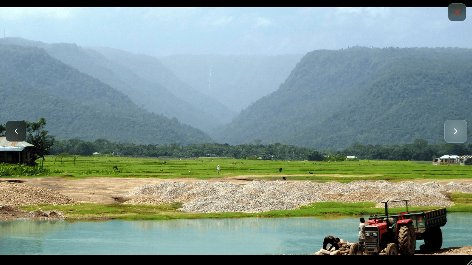 Oddapy Albums — built-in viewer and media player